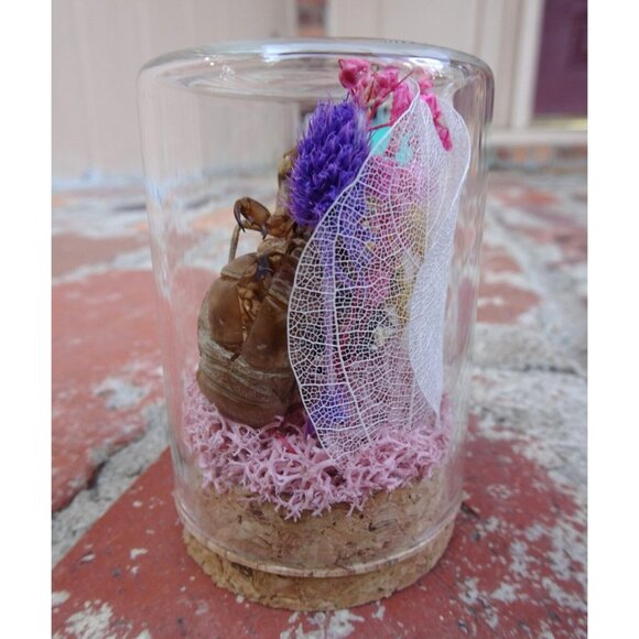 Cicada Skin in Pinecone Nature Art Oddity Jar flower goth curiosity taxidermy - Picture 10 of 10